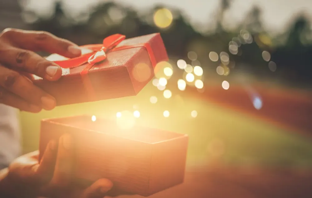 Carte Cadeau 150 €